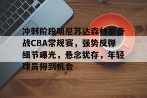 爱游戏APP-冲刺阶段明尼苏达森林狼备战CBA常规赛，强势反弹细节曝光，悬念犹存，年轻球员得到机会的简单介绍