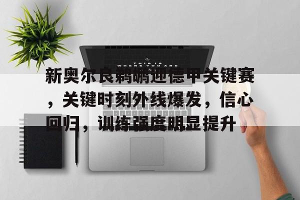 新奥尔良鹈鹕迎德甲关键赛，关键时刻外线爆发，信心回归，训练强度明显提升的简单介绍